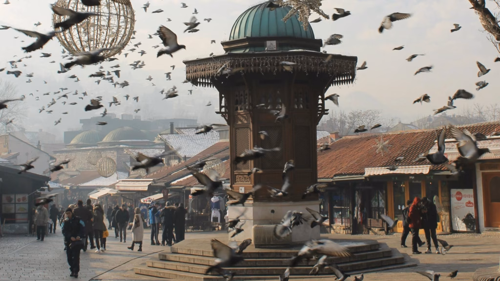 Bosnia e-Invoicing