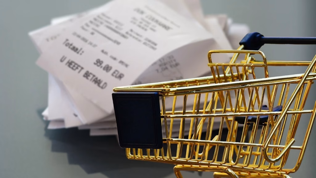 e-invoicing adoption results fiscalization