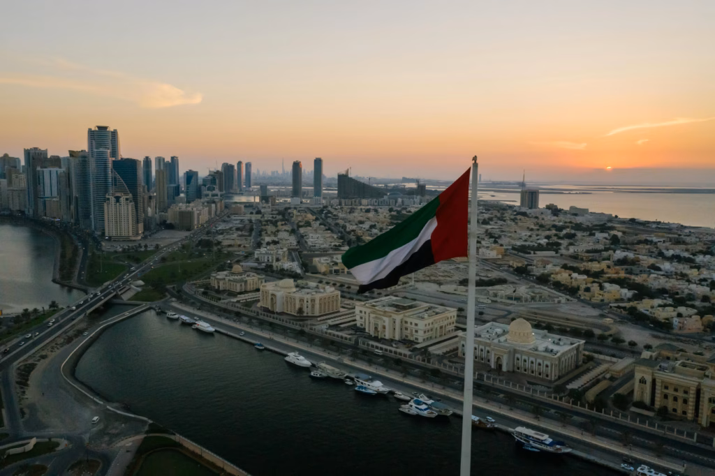 uae e-invoicing mandate cover